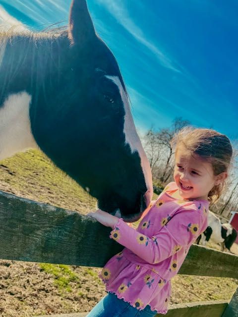 Horse and girl at riding High Farm