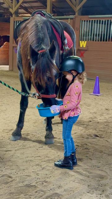 Riding High Farm Snacks